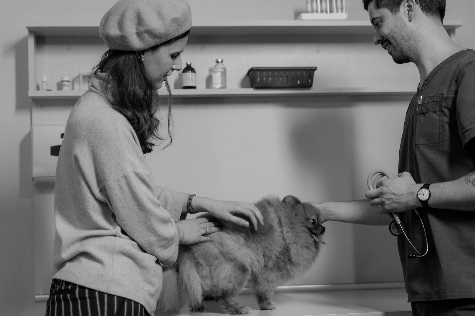 Pet owner and veterinarian discussing a dog during a clinic visit